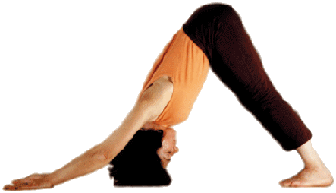 Equilibre et harmonie dans la posture de yoga